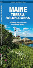 Maine Trees and Wildflowers: An Introduction to Familiar Species (Pocket Naturalist - Waterford Press)