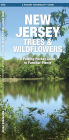 New Jersey Trees and Wildflowers: An Introduction to Familiar Species (Pocket Naturalist - Waterford Press Series)