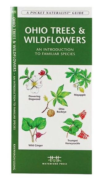 Ohio Trees and Wildflowers: An Introduction to Familiar Species (Pocket Naturalist - Waterford Press)