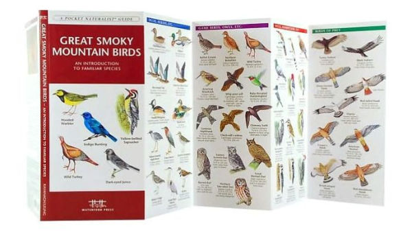 Great Smoky Mountain Birds: An Introduction to Familiar species (Pocket Naturalist Series)