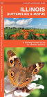 Illinois Butterflies and Moths: An Introduction to Familiar Species (Pocket Naturalist Series)