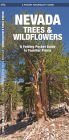 Nevada Trees & Wildflowers: A Folding Pocket Guide to Familiar Plants