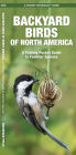 Backyard Birds of North America: A Folding Pocket Guide to Familiar Species