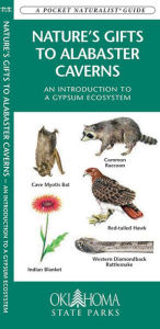 Title: Nature's Gift to Alabaster Caverns: An Introduction to a Gypsum Ecosystem, Author: James Kavanagh