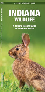 Indiana Wildlife: An Introduction to Familiar Species
