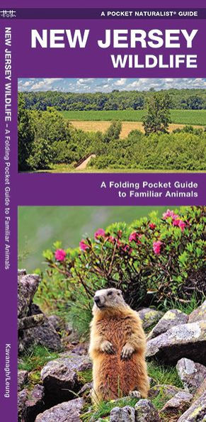 New Jersey Wildlife: A Folding Pocket Guide to Familiar Animals