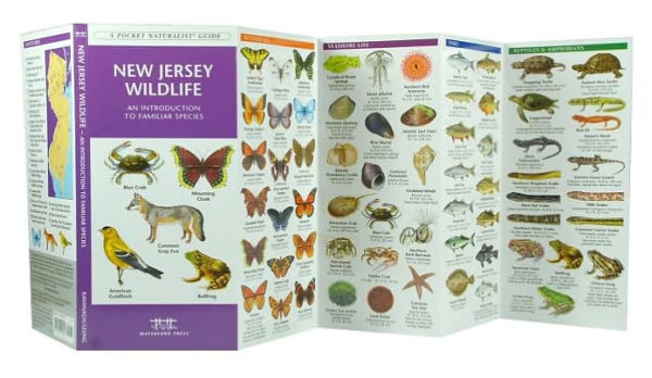 New Jersey Wildlife: A Folding Pocket Guide to Familiar Animals