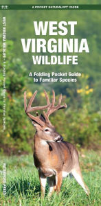 Title: West Virginia Wildlife: An Introduction to Familiar Species, Author: James Kavanagh Waterford Press