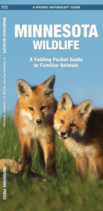 Minnesota Wildlife: An Introduction to Familiar Species