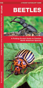 Beetles: An Introduction to Familiar Species
