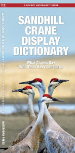 Title: Sandhill Crane Display Dictionary, 2nd Ed, Author: George Happ