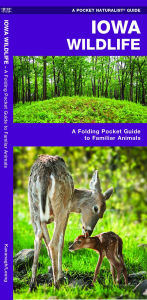 Iowa Wildlife: An Introduction to Familiar Species