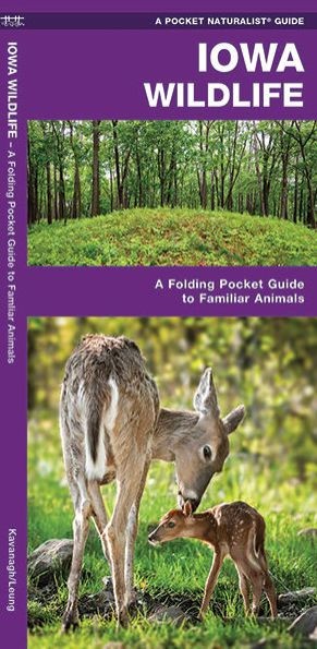 Iowa Wildlife: A Folding Pocket Guide to Familiar Animals