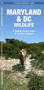 Maryland & DC Wildlife: An Introduction to Familiar Species