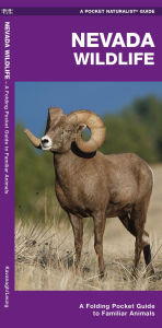 Nevada Wildlife: An Introduction to Familiar Species