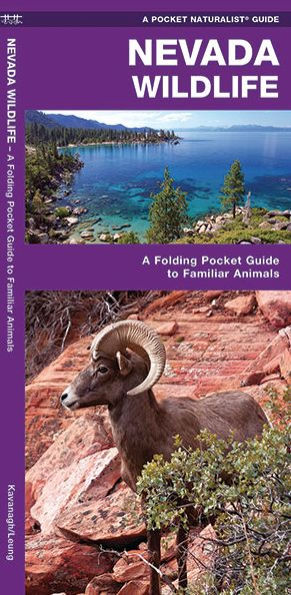 Nevada Wildlife: A Folding Pocket Guide to Familiar Animals