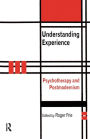 Understanding Experience: Psychotherapy and Postmodernism / Edition 1