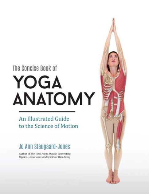 The Concise Book of Yoga Anatomy: An Illustrated Guide to the Science of  Motion by Jo Ann Staugaard-Jones, Paperback