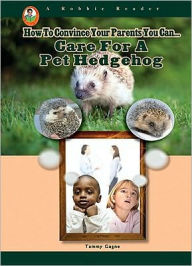 Care for a Pet Hedgehog