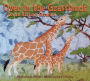 Over in the Grasslands: On an African Savanna