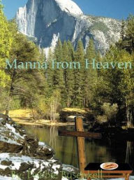 Title: Manna from Heaven: Delicious Low-Fat Recipes Inspired by Great Bible Stories, Author: Debbie Busenkell