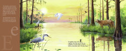 Alternative view 4 of S is for Sunshine: A Florida Alphabet