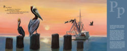 Alternative view 3 of P is for Pelican: A Louisiana Alphabet