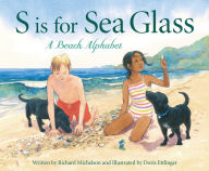 Title: S is for Sea Glass: A Beach Alphabet: A Beach Alphabet, Author: Richard Michelson