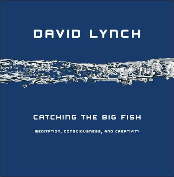 Catching the Big Fish: Meditation, Consciousness, and Creativity [Book]