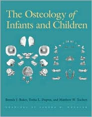 Title: The Osteology of Infants and Children / Edition 1, Author: Brenda J. Baker