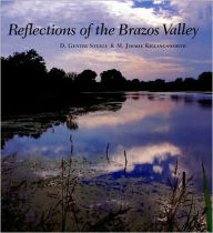 Title: Reflections of the Brazos Valley, Author: D. Gentry Steele