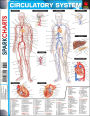 Circulatory System (SparkCharts)