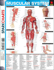 Title: Muscular System (SparkCharts), Author: SparkNotes Editors