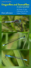 Dragonflies and Damselflies in Your Pocket: A Guide to the Odonates of the Upper Midwest