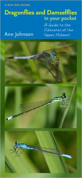 Dragonflies and Damselflies in Your Pocket: A Guide to the Odonates of the Upper Midwest