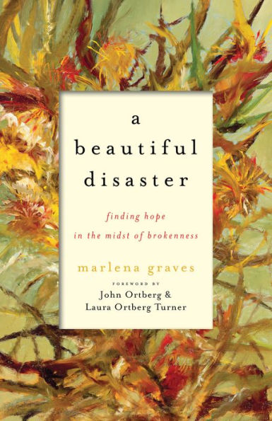 A Beautiful Disaster: Finding Hope in the Midst of Brokenness