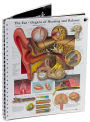 Anatomy and Pathology: The World's Best Anatomical Charts / Edition 4