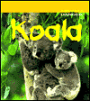 Koala (Animals in Danger Series)