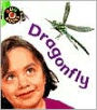 Dragonfly (Bug Books Series)