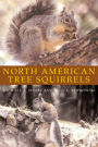 North American Tree Squirrels