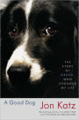 Good Dog: The Story of Orson, Who Changed My Life