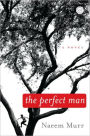 Perfect Man