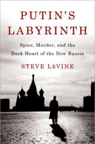 Title: Putin's Labyrinth: Spies, Murder, and the Dark Heart of the New Russia, Author: Steve LeVine