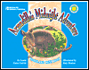 Armadillo's Midnight Adventure