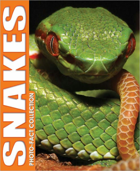 Snakes (Photo-Fact Collection Series) By Kidsbooks, Paperback | Barnes ...