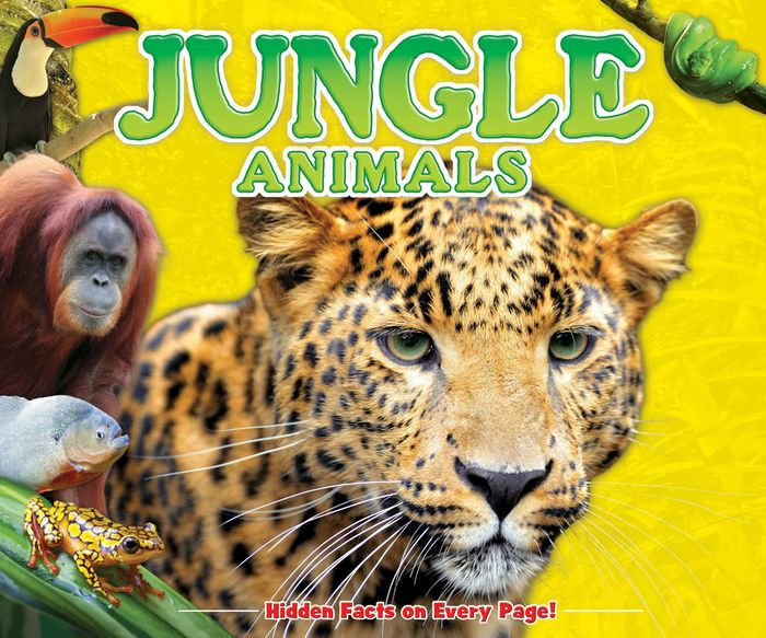 Jungle Animals (Fun Facts for Kids Series) by Kids Books, Hardcover