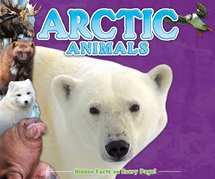 Arctic Animals (Fun Facts for Kids Series) by Kids Books, Hardcover