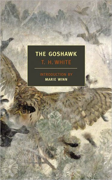 The Goshawk