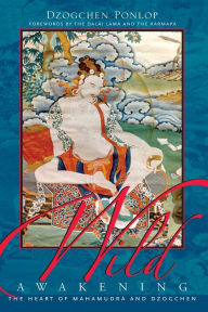 Wild Awakening: The Heart of Mahamudra and Dzogchen