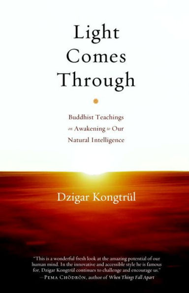 Light Comes Through: Buddhist Teachings on Awakening to Our Natural Intelligence
